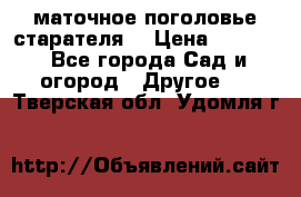 маточное поголовье старателя  › Цена ­ 3 700 - Все города Сад и огород » Другое   . Тверская обл.,Удомля г.
